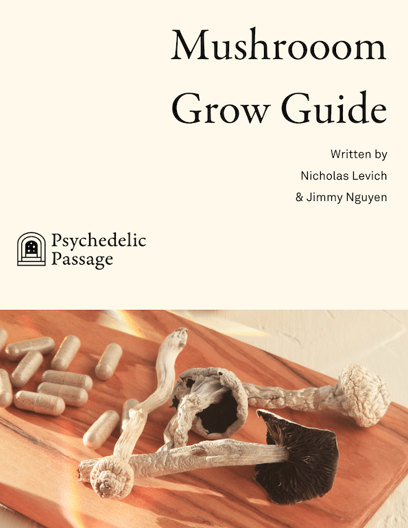 Mushrooom Grow Guide
