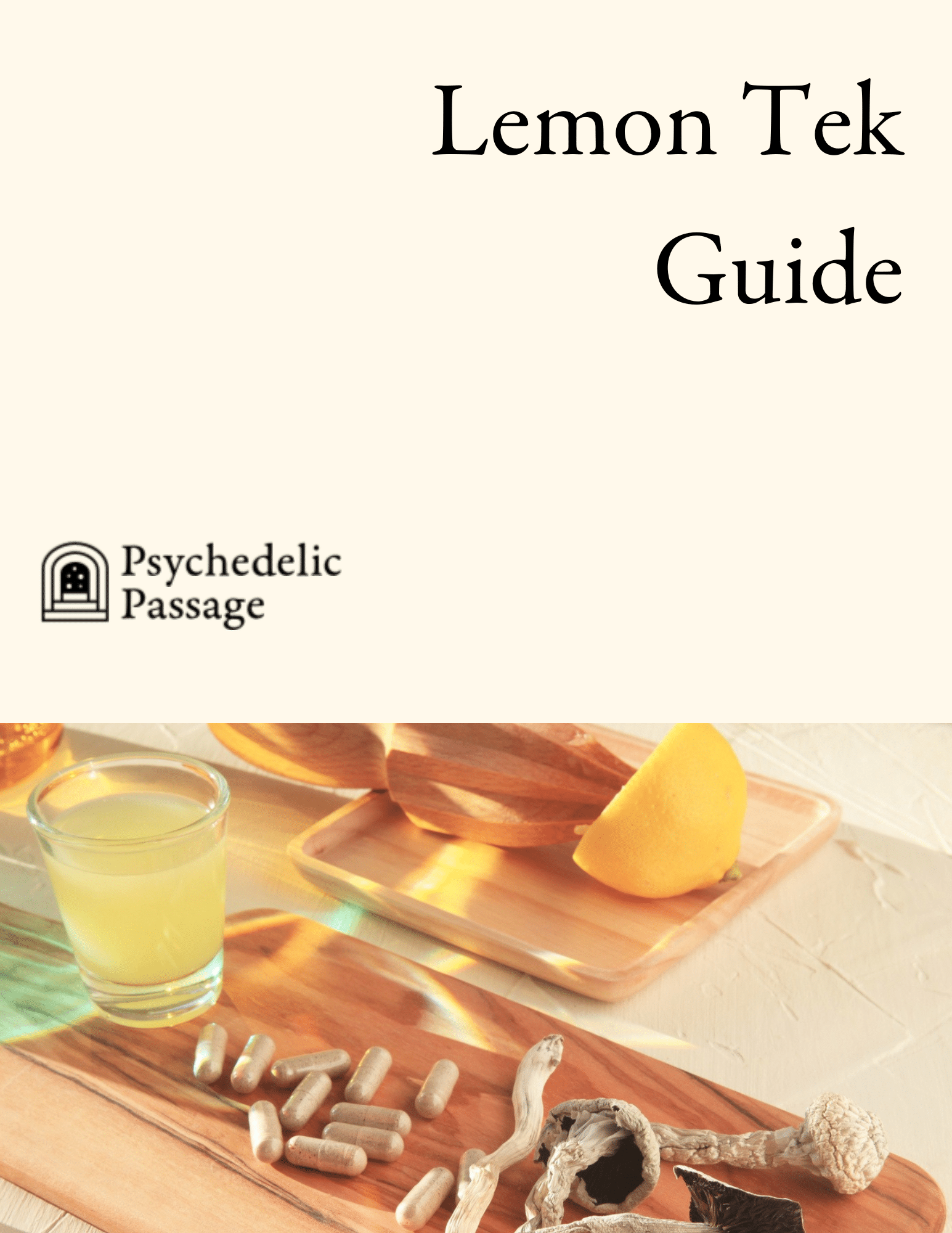 lemon-tek-cover
